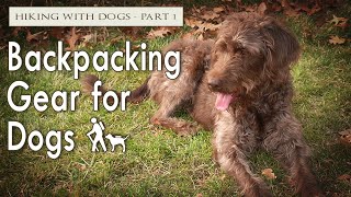 Backpacking Gear for Dogs | Hiking with Dogs | Part 1 of 3