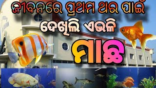 Marine aquarium ପାରାଦୀପ !! ପ୍ରଥମଥର ପାଇଁ ଦେଖିଲି ଜେଲି ଫିଶ !! #paradeep