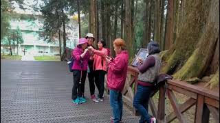 阿里山香林神木/千歲檜神木/巨木群棧道一/阿里山車站/神木遺蹟