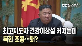 최고지도자 건강이상설 커지는데 北 조용…왜? / 연합뉴스TV (YonhapnewsTV)