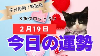 【２０２５年２月１９日】今日の運勢【３択タロット】すべてミュートで見ても大丈夫です🌈これから２４時間以内に起きること✨