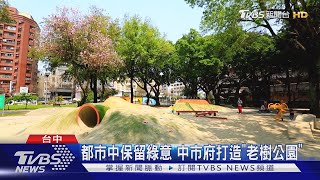 都市中保留綠意 中市府打造「老樹公園」｜TVBS新聞