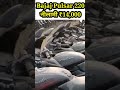 बैंक द्वारा खींची गई Bajaj Pulsar 220 की नीलामी लाइव।#shorts ,#youtubeshorts ,#shortsvideo ,#bikes