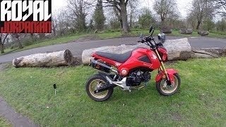 Honda MSX 125 (Grom) Mods \u0026 Akrapovic db sound test