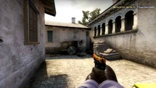 CS:GO - Flash kill