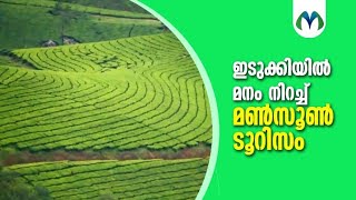 കോടമഞ്ഞും ചാറ്റൽ മഴയും വെള്ളച്ചാട്ടങ്ങളും ഇടുക്കിയിൽ മൺസൂൺ ടൂറിസം | Monsoon Tourism | Idukki