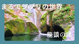 龍神が棲む美しすぎる秘境『深草龍鎮渓谷』神聖な空気に包まれたパワースポット