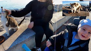 Feeding stray cats is the happiest activity for this mom, dad and baby.