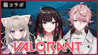 【VALORANT】ヴァロ箱コラボ！w/夜絆ニウ、水無瀬【緋月ゆい/ネオポルテ】