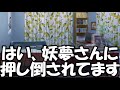 【ゆっくり茶番劇】ツンデレ妖夢を○○○○○⁉