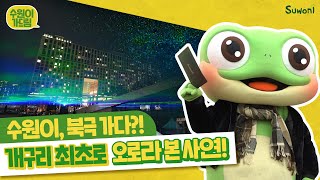 수원이, 북극 가다?! ☃❄  개구리 최초🐸로 오로라 본 사연은?