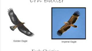 Ern Baxter - Eagle Christian Part 2 of 9