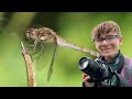 How to photography dragonflies | Dragonfly Photography Vlog