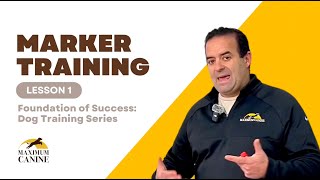 Foundations of Success Dog Training Series: Marker Training