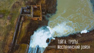 Тайга. Тропы. Маслянинский район