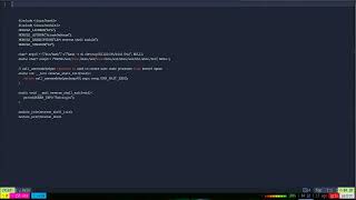 Write a Reverse Shell in C