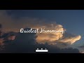 Nasheed - Quietest Humming