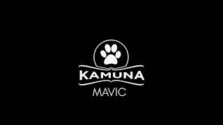 KAMUNA MAVIC TEST