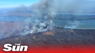 Brazil's president claims NGOs started Amazon fires 'to make him look bad'