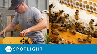 Urban Beekeeping Brings Pollinators Into the City