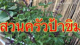 ผักสวนครัว| รัวกินได้งามมาก