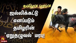 ஜல்லிக்கட்டு எனப்படும் தமிழரின் ‘ஏறுதழுவல்’ மரபு! | தமிழும் மரபும்