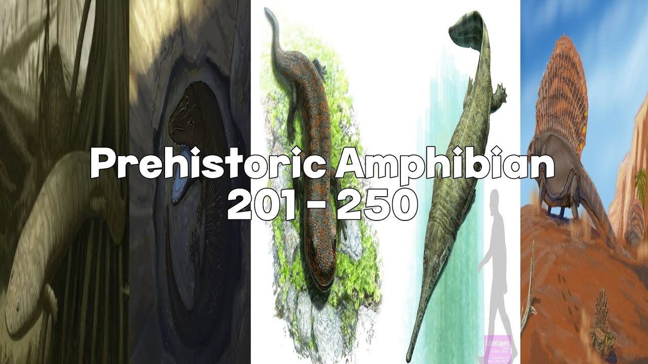 Prehistoric Amphibian 201 - 250 [5/6] - YouTube