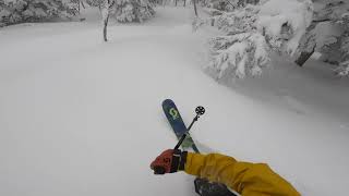 #JAPOW Shigakogen 2021_02