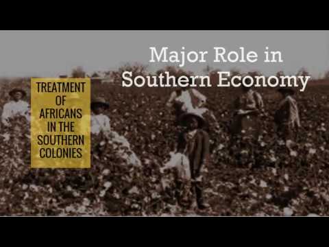 Why did settlers in the southern colonies have slaves?