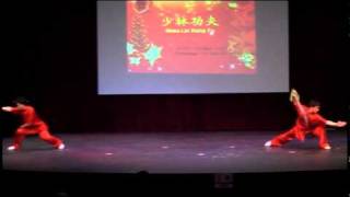 2010 ACSSS New Year Gala 5 (少林功夫)