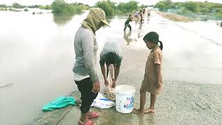 Natural Fishing Net Fishing  បង់ត្រីបែបសមញ្ញ ទឹកធ្លាក់ត្រីធម្មជាតិ- បែបលក្ខណះស្រុកស្រែ