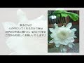 かけがえのないもの ～wezard flower gift 2024 ～