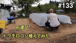 【土地開拓日記】#133 畑を作ろう29 トウモロコシ植えてみた　石運び　山林から畑への道のり