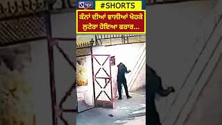 Punjab News | ਕੰਨਾਂ ਦੀਆਂ ਵਾਲੀਆਂ ਖੋਹਕੇ ਲੁਟੇਰਾ ਹੋਇਆ ਫਰਾਰ... | INDIA NEWS PUNJAB