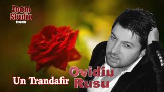 Ovidiu Rusu - Un Trandafir, 2017