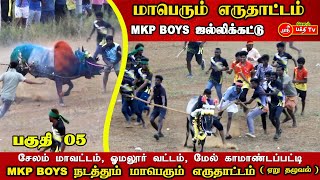 ஜல்லிக்கட்டு, MKP BOYS  மாபெரும் எருதாட்டம் | சேலம் மாவட்டம், ஓமலூர், மேல்காமாண்டப்பட்டி #jallikattu