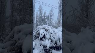 Kashmir in winter #kashmir #gulmarg #snowfall