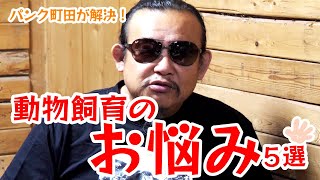 【パンク町田が解決！】動物飼育のお悩み5選！