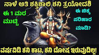 ಈ ವಿಡಿಯೋ ನೋಡಿ ಶನಿ ದೋಷದಿಂದ ತಪ್ಪಿಸಿಕೊಳ್ಳಿ | Shani Dosha | Shani Puja | Shani Jayanti | @SRTVKANNADA