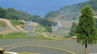 JG HDR 新潟 佐渡 岩首昇竜棚田(ジオパーク) Niigata,Sado Iwakubi Shoryu Tanada(Geopark)