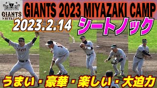 【巨人】このメンバーずっと見ていたい　うまい・豪華・楽しい・大迫力　宮崎キャンプ　ラストシートノック　2023.2.14　読売ジャイアンツ　プロ野球ニュース