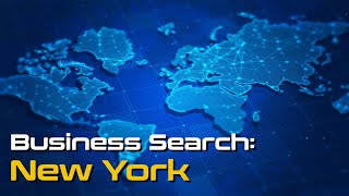 New York Secretary of State Business Search Guide 2024