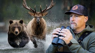 Grizzly Bear VS Bull Elk! Wildlife Expert Breaks Down Viral Wildlife Videos (Part 3)