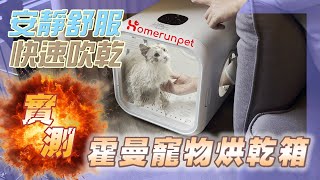 【霍曼寵物烘乾箱Drybo Plus】長毛貓飼主必備，布偶貓的舒適烘乾體驗，實測開箱烘乾時間竟然？？  #寵物烘乾箱 #烘毛機 #毛小孩 #貓咪 EP.24