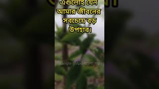 তুমি জানো?  তোমার অতীত তোমার সব ভুলভ্রান্তি,  তোমার সব❤️😍