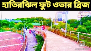 হাতিরঝিল ফুট ওভার ব্রিজ / Hatirjheel foot over bridge