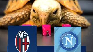 Bologna vs Napoli Prediction - Serie A 2023 - Turtle Prediction
