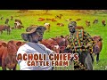 Uganda to The World// Inside Acholi Chief's [Rwot Aloo] Cattle Farm