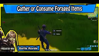 Gather or Consume Foraged Items / Fortnite Challenges