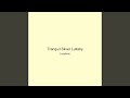 Tranquil Silver Lullaby